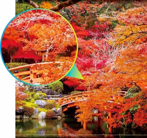 【画質】彩度が高く色彩も豊かに再現 4Kモニターおすすめ イメージ