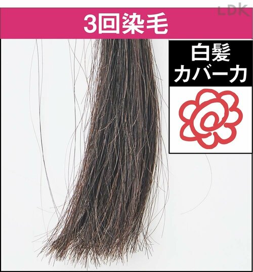 3回染毛 白髪染めトリートメントおすすめ イメージ