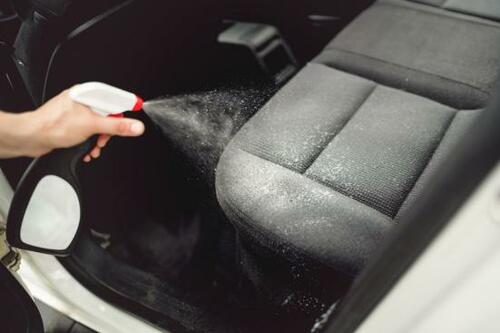 車に乗るのは人だけとは限りません