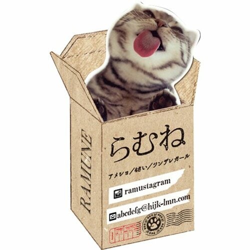 猫名刺:名刺:可愛い:オシャレ:猫