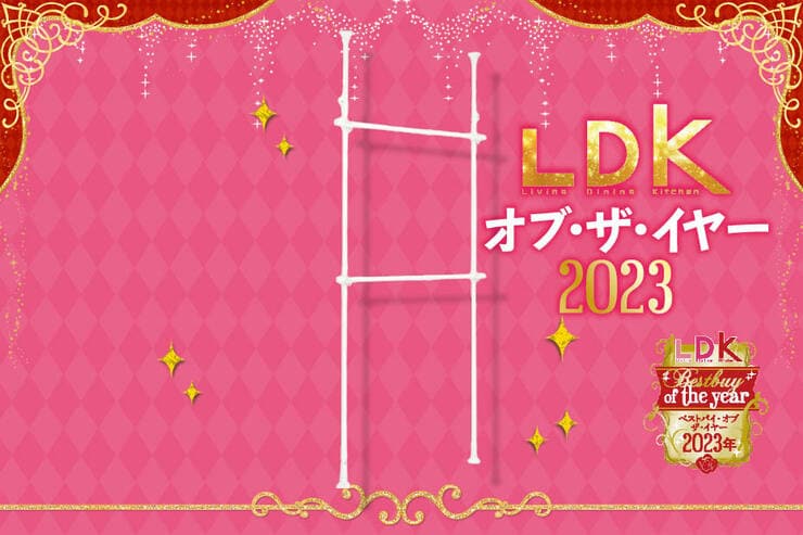 “服をほぼ畳まないライフ”が叶う！ 突っ張り大容量ハンガーラックの魅力がすごい【LDKベストバイ2023】