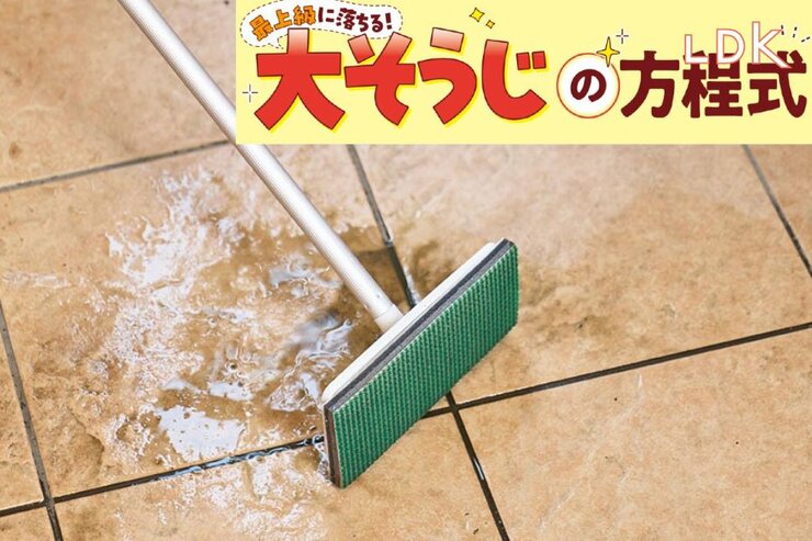 ブラシは水切り付きを選んで！ 水まき不要で来客前に玄関をリセットできちゃいます【LDK大掃除】