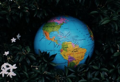 植物の上に置いてある地球儀