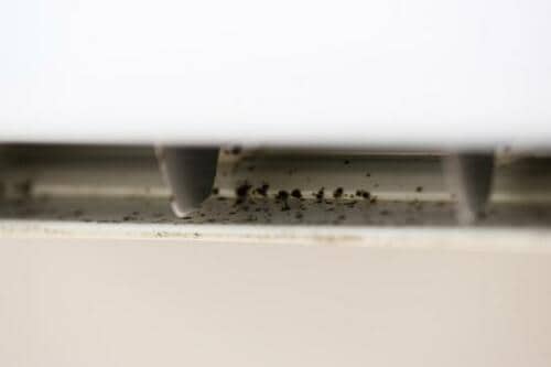 本当にキレイ? お手入れ前とお手入れ後を比べてみました イメージ3
