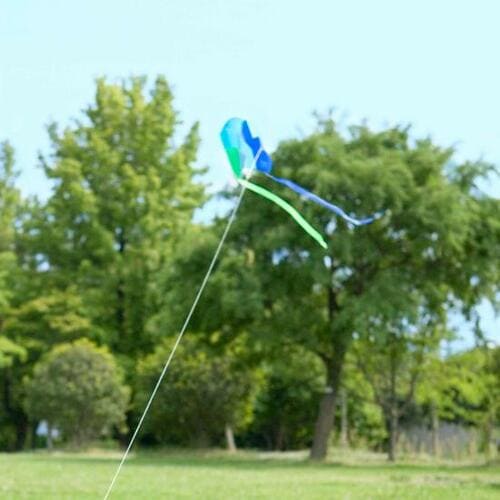 ポイント：持ち運びに便利なケース付き！ イメージ2