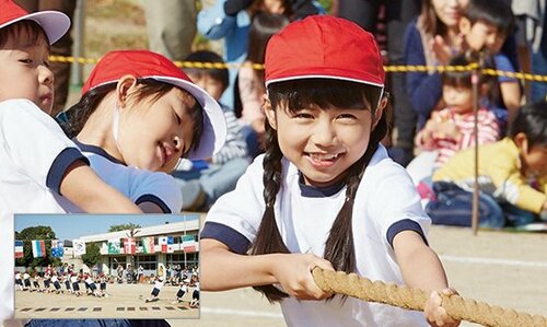 高画質かつ失敗知らず型落ちならコスパも最高!