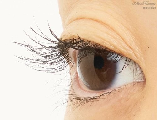 仕上がり マスカラおすすめ イメージ