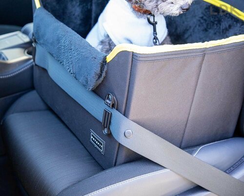 シートベルトも通せるから安定感◎ 犬用ドライブボックスおすすめ イメージ