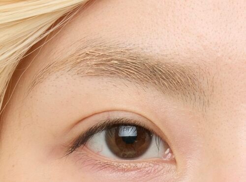 美眉度&自眉抑え度:ベージュカラーで自眉の印象が薄まる 眉コンシーラーおすすめ イメージ