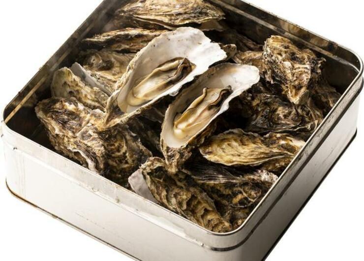 【楽天訳アリ】牡蠣の「無選別蒸し缶」はおもてなしBBQにオススメです