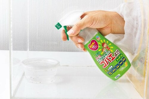 ボックス内のコバエにプッシュ！早さと倒れた数でジャッジしました コバエ対策おすすめ イメージ2