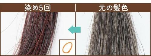 仕上がり イメージ