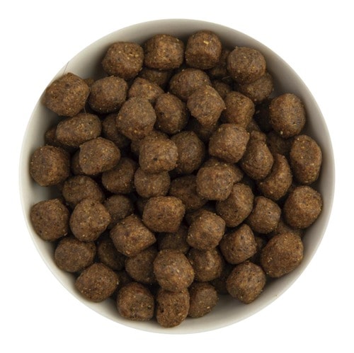 ドッグフードおすすめ マルカン サンライズ ナチュラハ グレインフリー ターキー・チキン&野菜入り 成犬用 イメージ2