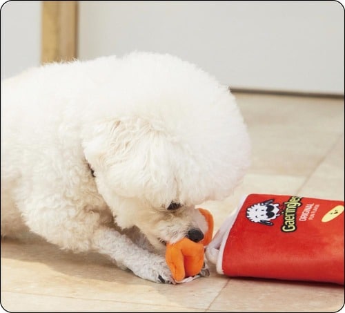 タイプ1：知育玩具 犬用おもちゃおすすめ イメージ