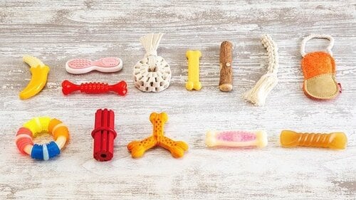 犬用歯磨きおもちゃの検証方法は? 犬用おもちゃおすすめ イメージ