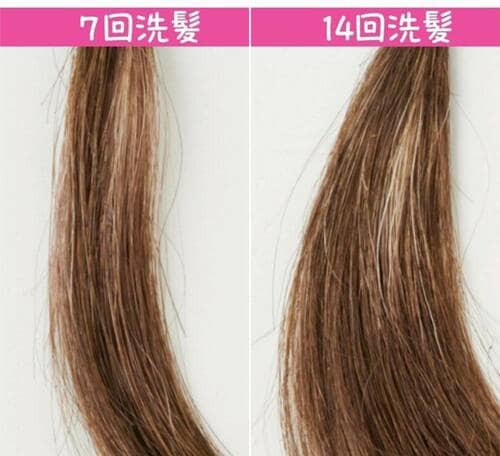 ホーユー「シエロ ムースカラー/6」で100%白髪を染毛、洗髪後の変化