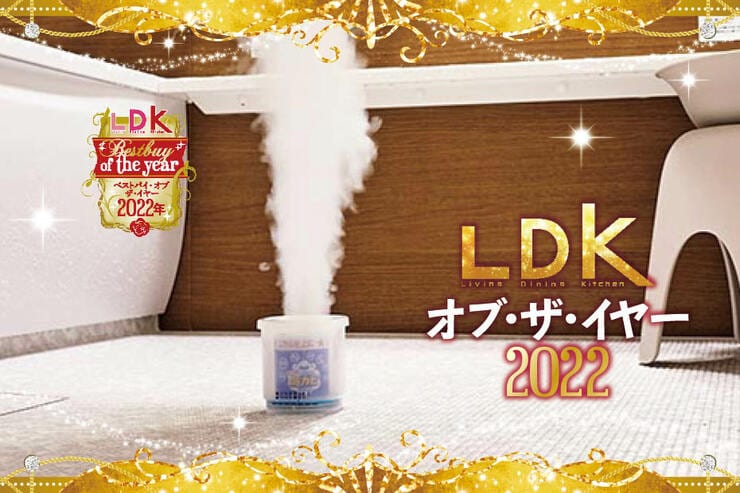 お風呂の防カビ剤なら「ルックプラス おふろの防カビくん」。今年もカビ掃除、お疲れ様でした【LDKベストバイ2022】