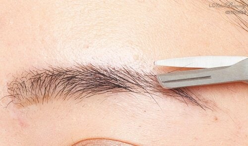 3：専用ハサミでカットする イメージ