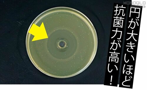 虫歯・歯周病・口臭の原因菌に高い抗菌力を発揮 歯磨き粉のおすすめおすすめ イメージ