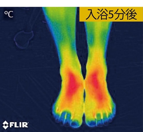 短時間入浴でもしっかり芯まであたたまった イメージ2