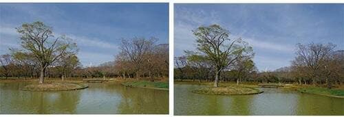 見分けがつかない！ イメージ