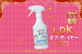 ガッツリ泡で黒カビ撃退！理想のカビスプレーは「お風呂のカビ 丸洗浄」でした【LDKベストバイ2023】