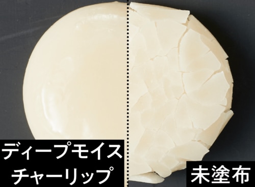 保湿力:うるおいを逃さず乾燥を防いだ UVカットリップクリームおすすめ イメージ