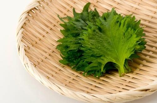 常備すると便利な薬味チューブとチューブ調味料の評判は？ イメージ3