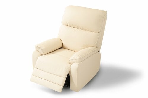  FlexiSpot X5 イメージ1