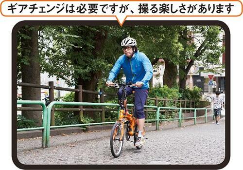検証結果
