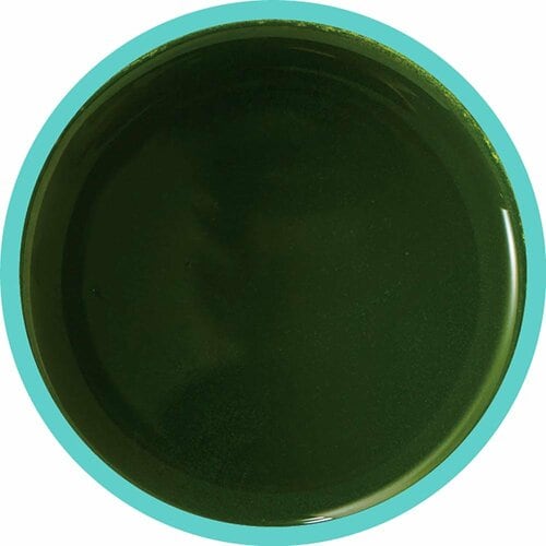 青汁おすすめ ヤクルトヘルスフーズ 私の青汁 プレバイオティクス イメージ3