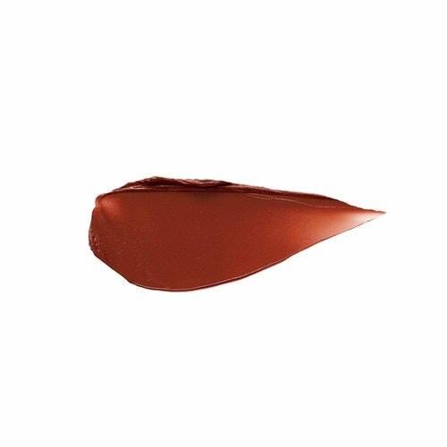 色つきリップクリームおすすめ ザ・パブリック オーガニック 精油カラーリップスティック/マルーンブラウン イメージ2
