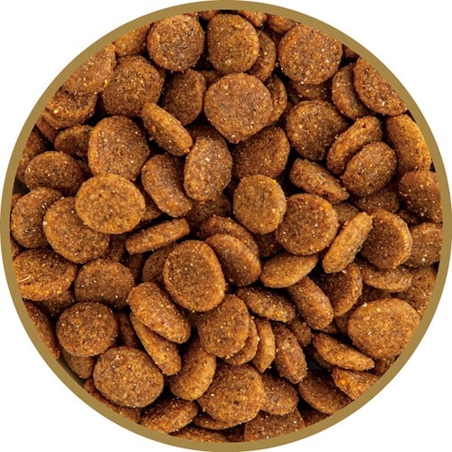 猫用ドライフードおすすめ イースター プロステージ ル・シャット 健康維持による免疫の維持に配慮 イメージ2