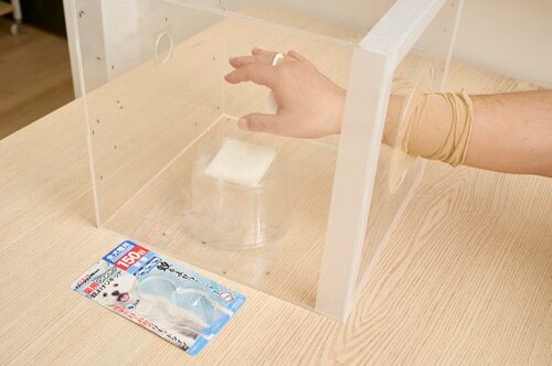 【虫除け力】多くの虫が避けた 犬用虫除けグッズおすすめ イメージ