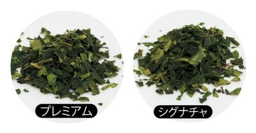 オーガニック栽培の専用茶葉