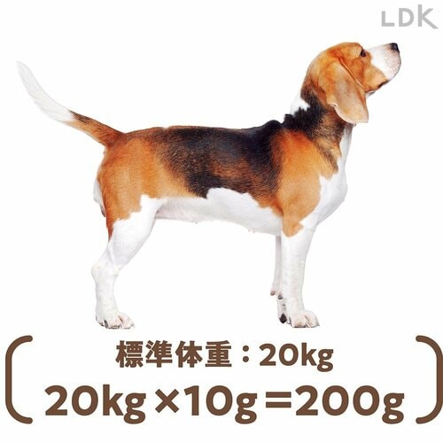 体重に応じた給餌量は注意！ ドッグフードおすすめ イメージ