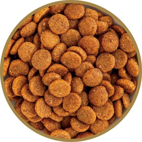 猫用ドライフードおすすめ いなばペットフード	 チャオ プレミアム チキンミックス味 イメージ2