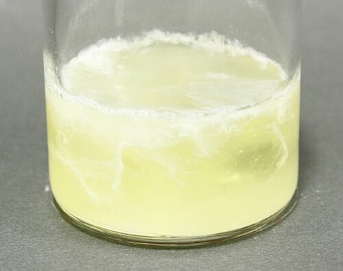 D評価: 【D評価】やさしさを犠牲にした 除菌ジョイコンパクト イメージ