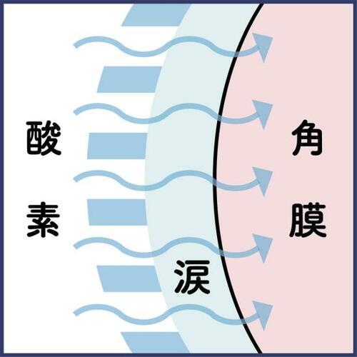 【結論】おすすめの最強レンズは「デイリーズ トータル ワン」! ワンデーコンタクトレンズおすすめ イメージ2