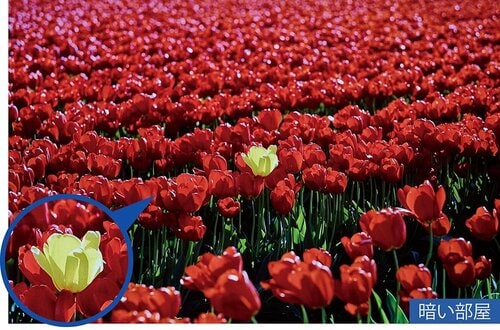 輝度が高く豊かな映像表現が可能 4Kプロジェクターおすすめ イメージ2