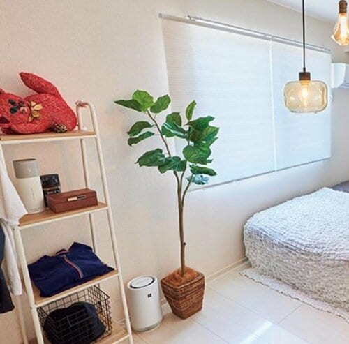7．光触媒グリーンで部屋の空気をキレイに 寝室をおしゃれに大改造おすすめ イメージ