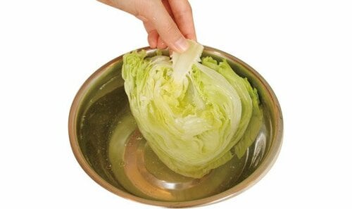 レタスの「鮮度」復活の方法 イメージ2