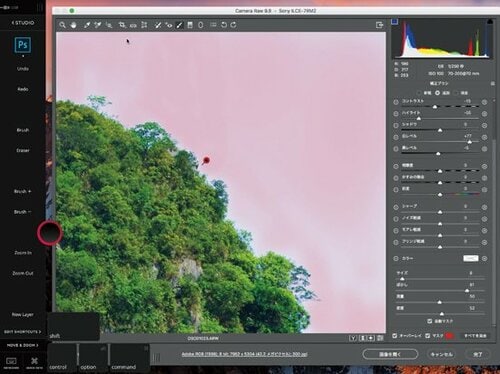12.9インチの大画面を活かしてiPad Proをペンタブ化しましょう イメージ2