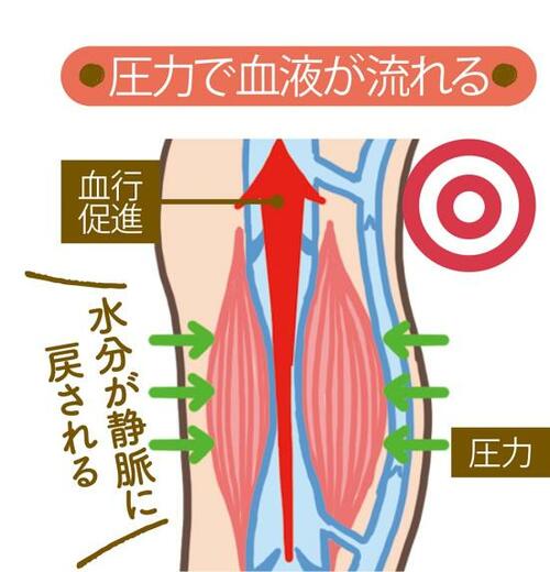 着圧ソックスでほどよく加圧 着圧ソックスおすすめ イメージ