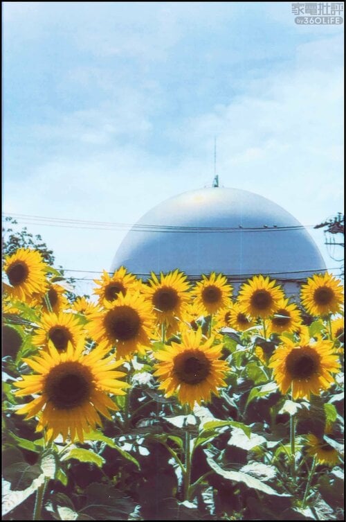 Zinkだけに肌色の発色がイマイチ フォトプリンターおすすめ イメージ