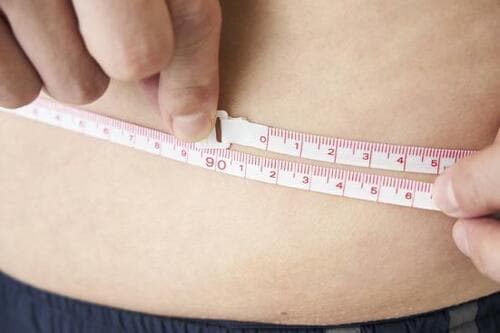 検証1：ウエスト イメージ2