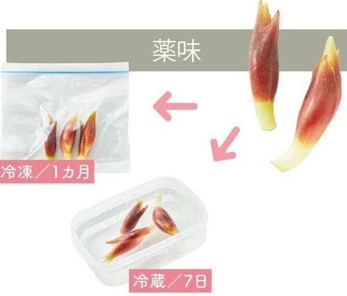 旬を逃さない今すぐできる簡単保存テク イメージ2