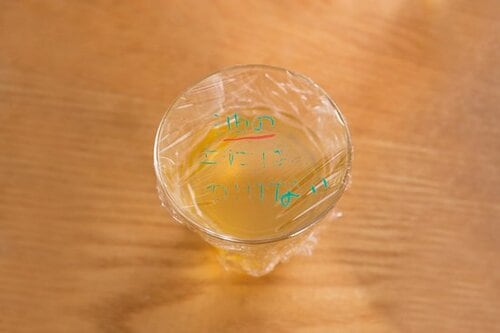 メモ書きだけじゃなく彩りも添えられる６色セット イメージ