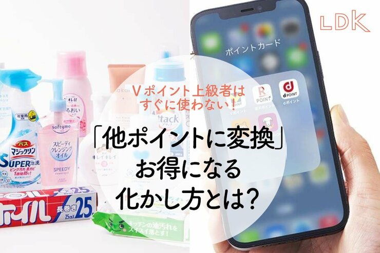 【賢者はすぐ使わない】1ポイントが1円以上に！ Vポイント、お得な化かし方を解説【LDK】