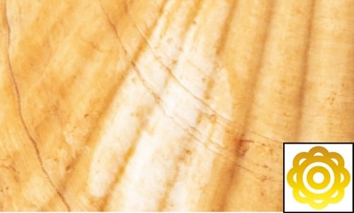 即効ホワイトニング力 ホワイトニングジェルおすすめ イメージ